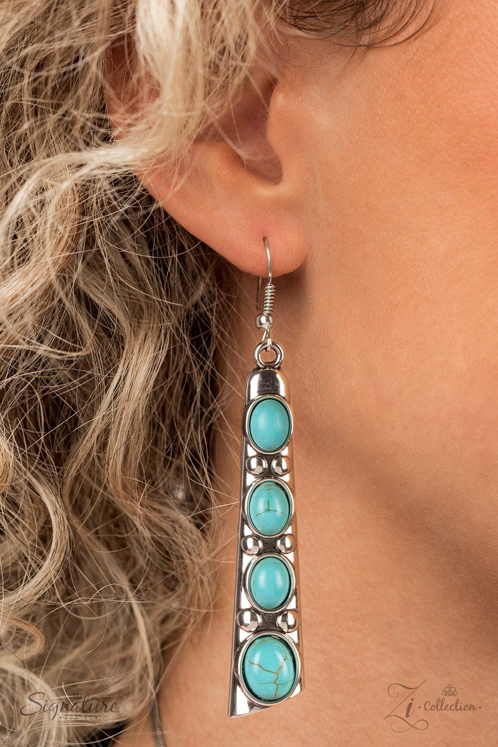 Paparazzi Accessories Necklace The Ebony